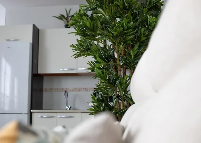 Trinidad Aparment